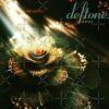flat750x075f pad750x750f8f8f8 22 - Deftones UK Store